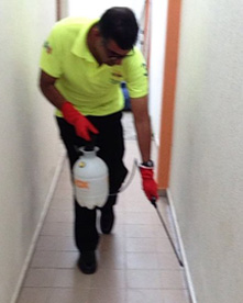Tenclean